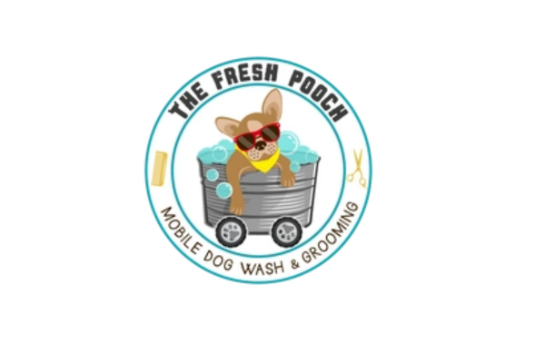 Pamper Your Pet With Toronto's Leading Grooming Services